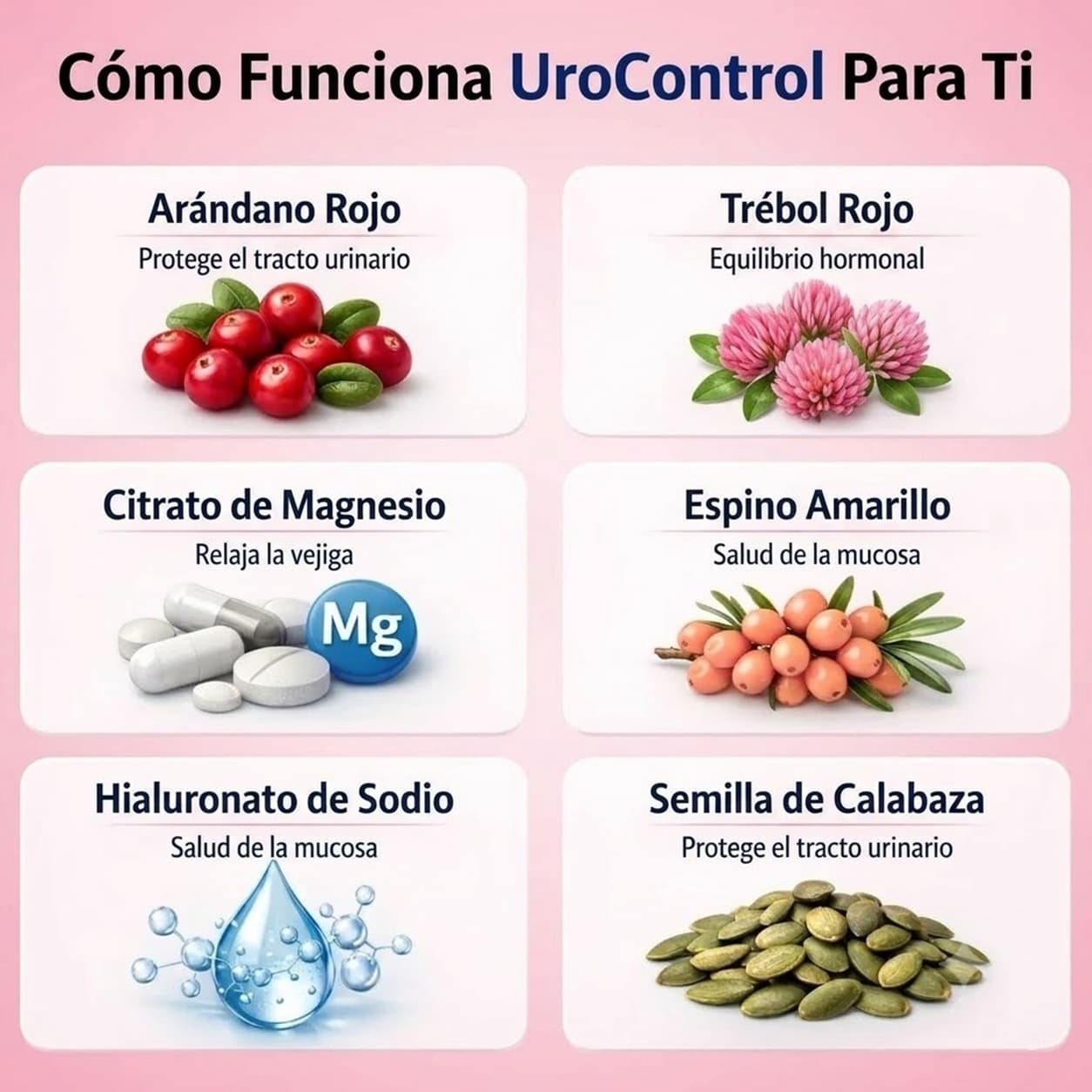 ¿Cansada de vivir pendiente del baño? Recuperá la tranquilidad y disfrutá tu día con más confianza.
